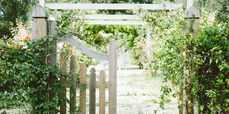 Zo kies je de perfecte poort voor jouw tuin gemeente 
