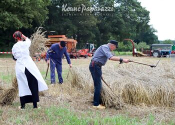 Lintjesregen 2025 gemeente dijkerhoeksfeest dijkerhoek bonte paard 