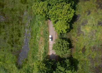 Dit is waarom jij een bezoekje zou moeten brengen aan de Holterberg sallandse heuvelrug gemeente 