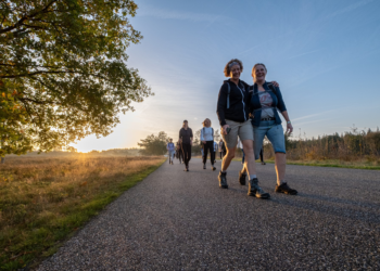 Fietsen en eten op de Sallandse Heuvelrug sallandse heuvelrug de biester 