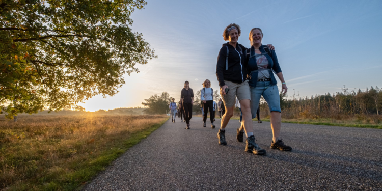 De Diepe Hel Holterbergloop sallandse heuvelrug 