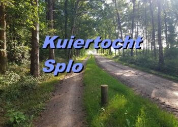 Fraaie wandelroute op zondag 11 juli bij Greun Hoolt’n espelo 