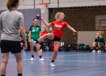 Holtense handbaldames kunnen koploper Kwiek niet verrassen 