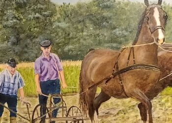 M.A.C. de Holterberg na 75 jaar nog steeds een geoliede machine muller Jubileum corona beuseberg 
