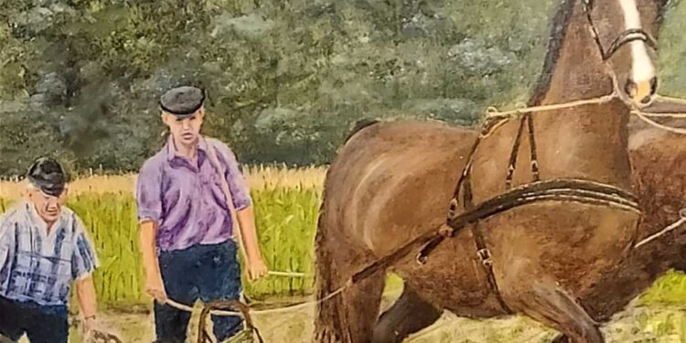 Expositie ‘Broer, een levenlang boer’ in Oudheidkamer Hoolt’n oudheidkamer beuseberg 