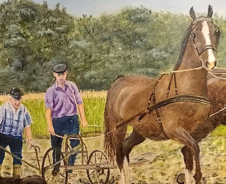 Expositie ‘Broer, een levenlang boer’ in Oudheidkamer Hoolt’n oudheidkamer beuseberg 