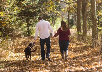 Fraaie wandelroute op zondag 11 juli bij Greun Hoolt’n espelo 