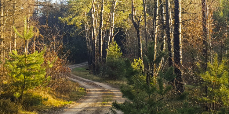 HoltensNieuws.nl Win een kunstwerk Win een kunstwerk oudheidkamer nijkamp kulturhus