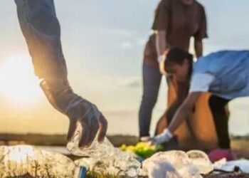 Lintjesregen 2025 gemeente dijkerhoeksfeest dijkerhoek bonte paard 