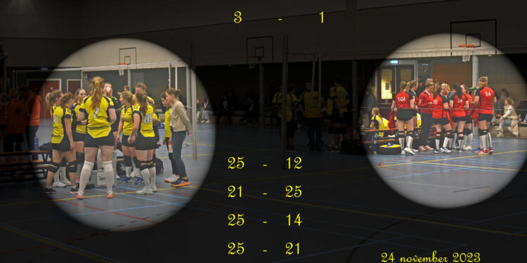 Wisselend spel Mintonette volleybaldames 1 mintonette 