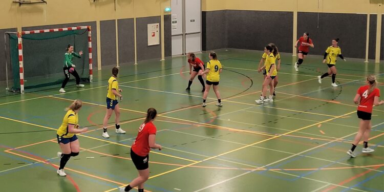Broodnodige winst voor Holtense handbaldames in Nijmegen hv holten 