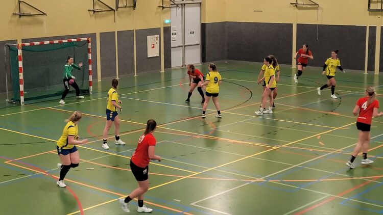 Broodnodige winst voor Holtense handbaldames in Nijmegen hv holten 