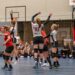 Wisselend spel Mintonette volleybaldames 1 mintonette 