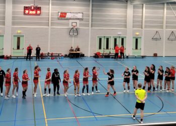 Handbaldames buigen in 2e helft pas voor Haarle 