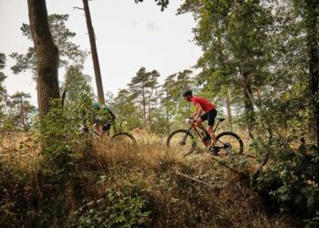 Dit is waarom jij een bezoekje zou moeten brengen aan de Holterberg sallandse heuvelrug gemeente 