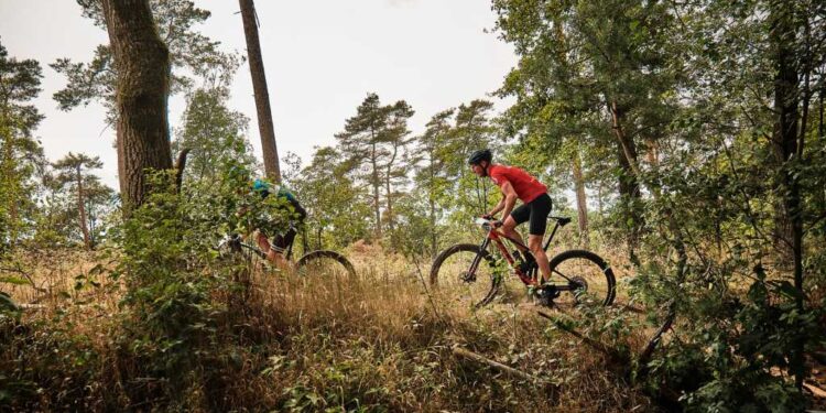 HoltensNieuws.nl Opnieuw afsluiting mountainbikeroute Sallandse Heuvelrug Opnieuw afsluiting mountainbikeroute Sallandse Heuvelrug sallandse heuvelrug