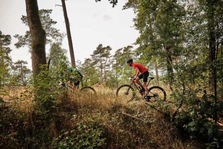 Opnieuw afsluiting mountainbikeroute Sallandse Heuvelrug sallandse heuvelrug 