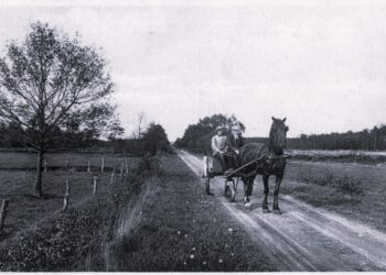 Fraaie wandelroute op zondag 11 juli bij Greun Hoolt’n espelo 