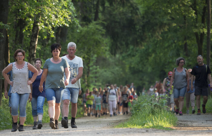 Evenement overzicht 