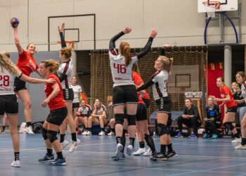 Handbaldames buigen in 2e helft pas voor Haarle 