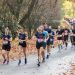Kringloop Irene gemeente 