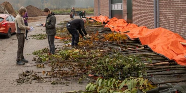 Betaalbaar groen voor bewoners buitengebied gemeente 