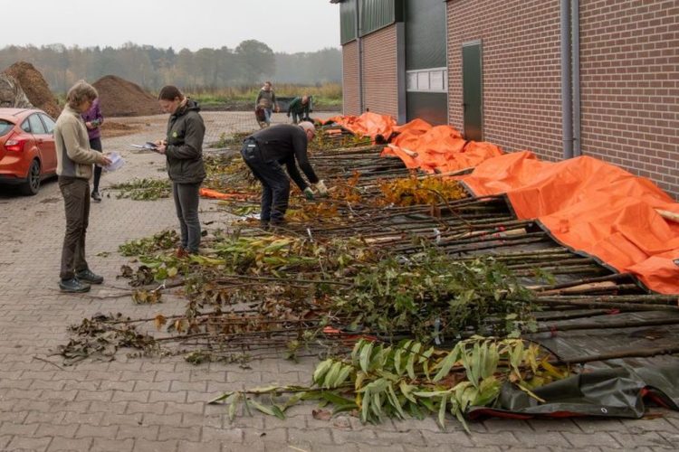 Betaalbaar groen voor bewoners buitengebied gemeente 