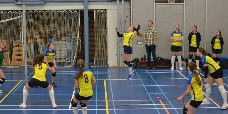 HoltensNieuws.nl D1 Mintonette speelt een puike wedstrijd   D1 Mintonette speelt een puike wedstrijd mintonette