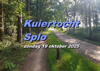 Nachtzwaluw vaker gespot sallandse heuvelrug 