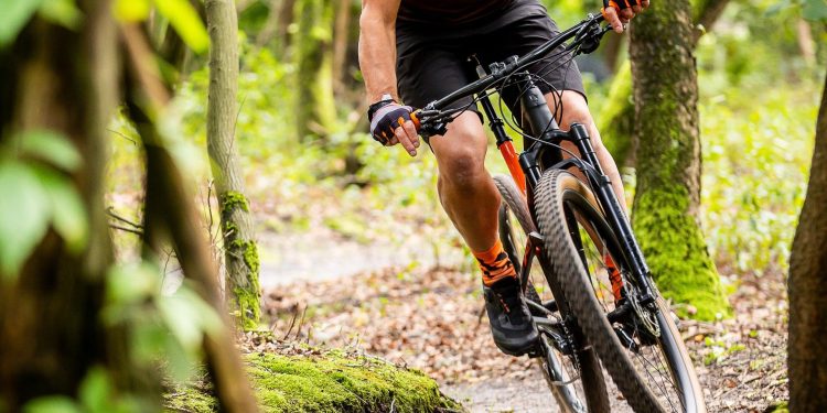 Mountainbikeroute Sallandse Heuvelrug weer open vanaf 1 november   sallandse heuvelrug 