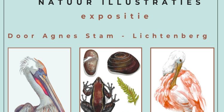 Expositie Blad & Beeld in Holten 