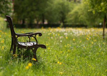 HoltensNieuws.nl Profoto exposeert Profoto exposeert profoto kulturhus