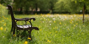 HoltensNieuws.nl Weerman Freddie Paalman Weerman Freddie Paalman daglicht