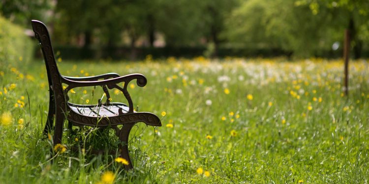 HoltensNieuws.nl Pilot ‘Slimme Bankjes’ voor betere openbare ruimte Pilot ‘Slimme Bankjes’ voor betere openbare ruimte gemeente