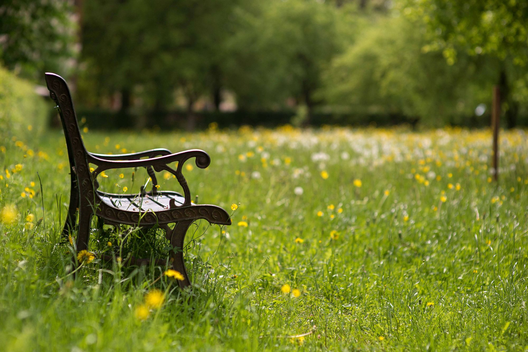 Pilot ‘Slimme Bankjes’ voor betere openbare ruimte