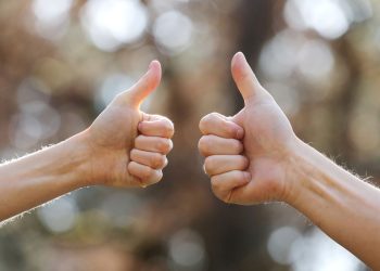 HoltensNieuws.nl Nieuwe regels maken kamerverhuur en woningsplitsing mogelijk Nieuwe regels maken kamerverhuur en woningsplitsing mogelijk gemeente