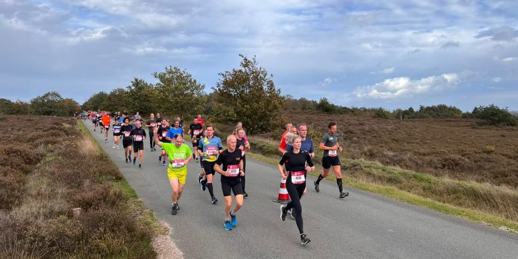 HoltensNieuws.nl Inschrijving Diepe Hel Holterbergloop 2026 opent op 7 juni Inschrijving Diepe Hel Holterbergloop 2026 opent op 7 juni