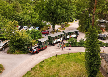 HoltensNieuws.nl Holtense Golfdag 2026 belooft weer sportief én gezellig te worden Holtense Golfdag 2026 belooft weer sportief én gezellig te worden