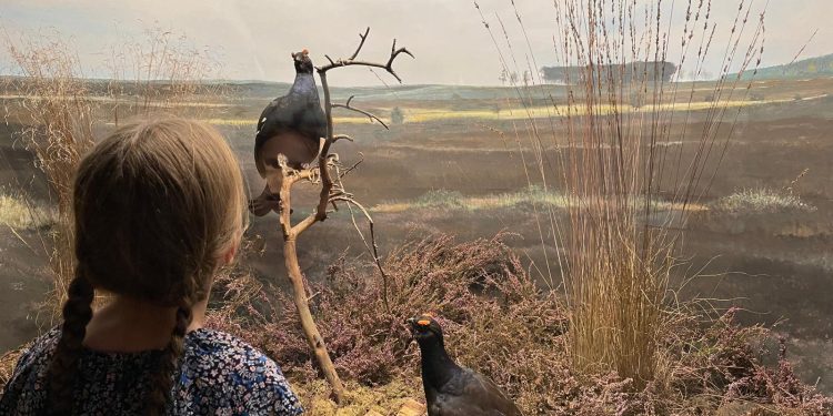 HoltensNieuws.nl Hoolter museumdag 12 augustus: ‘Op de boerderieje’ Hoolter museumdag 12 augustus: ‘Op de boerderieje’ gemeente duurzaam holten dijkerhoek canadese begraafplaats