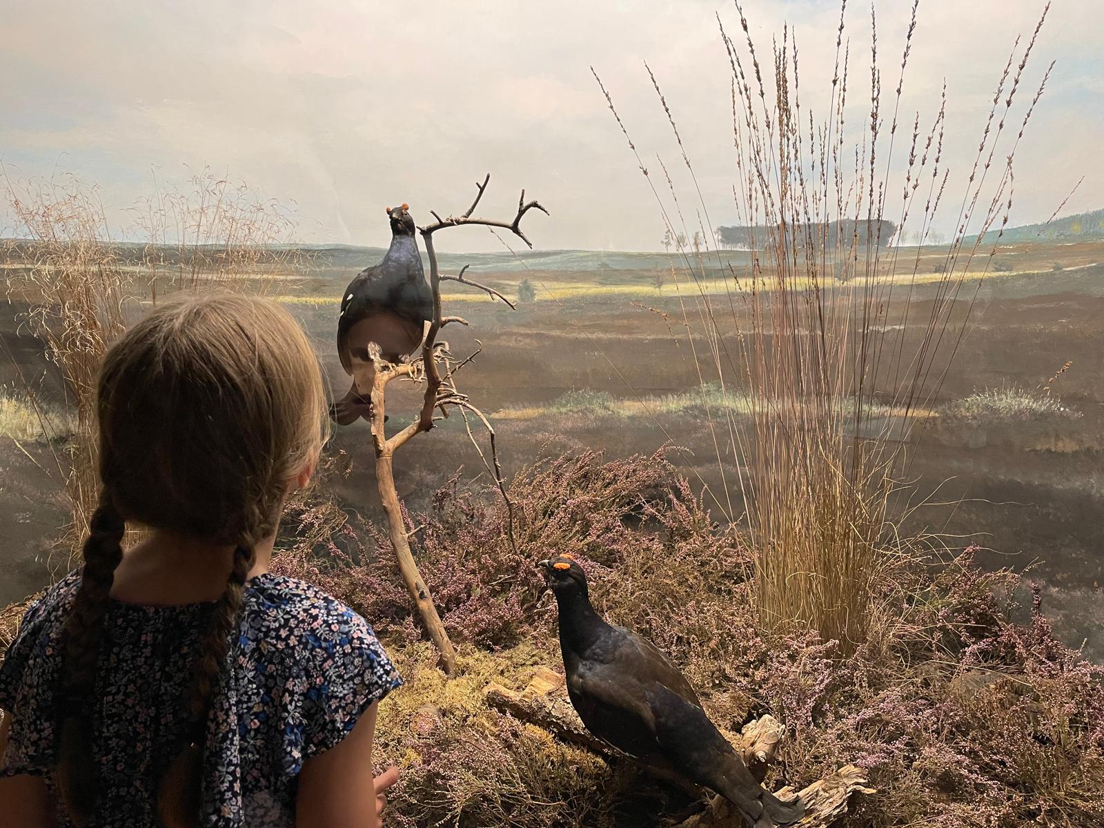 Hoolter museumdag 12 augustus: ‘Op de boerderieje’