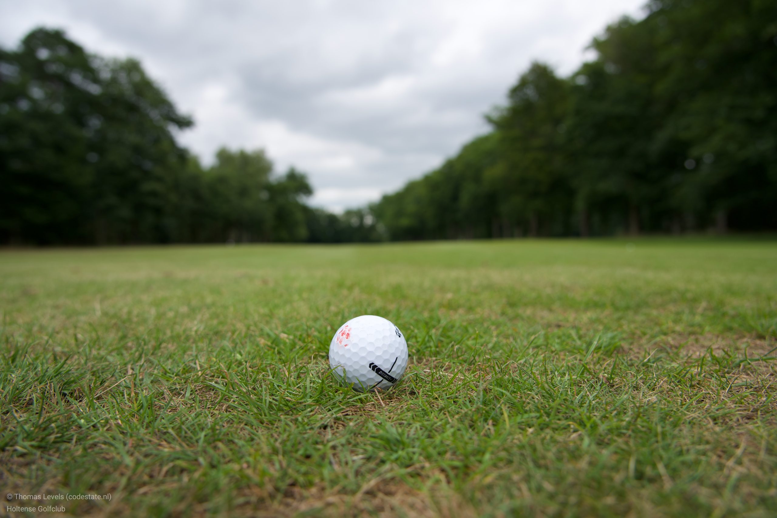 Holtense Golfdag 2026 belooft weer sportief én gezellig te worden