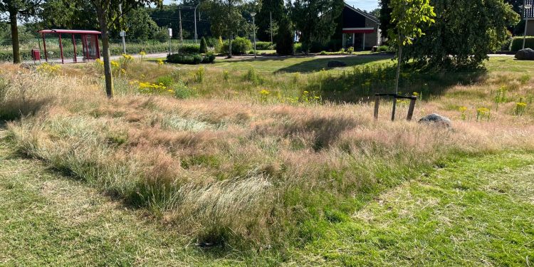 HoltensNieuws.nl De natuur krijgt meer ruimte De natuur krijgt meer ruimte gemeente
