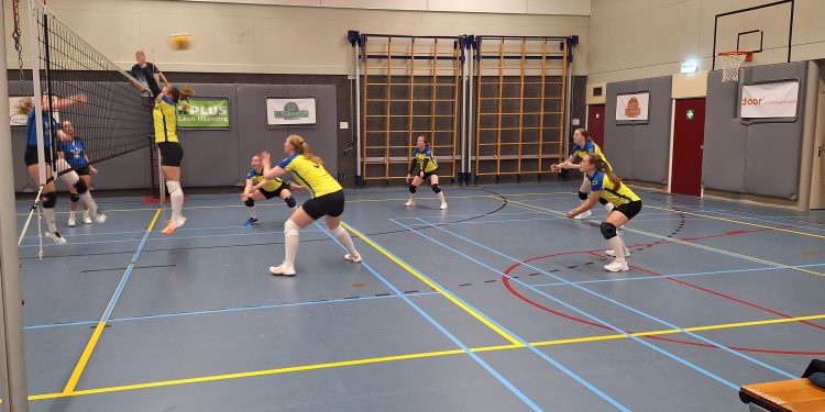HoltensNieuws.nl Winst bekerwedstrijd dames 1 Mintonette Winst bekerwedstrijd dames 1 Mintonette mintonette