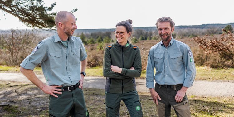 HoltensNieuws.nl Staatsbosbeheer aan het werk op de Holterberg Staatsbosbeheer aan het werk op de Holterberg sallandse heuvelrug