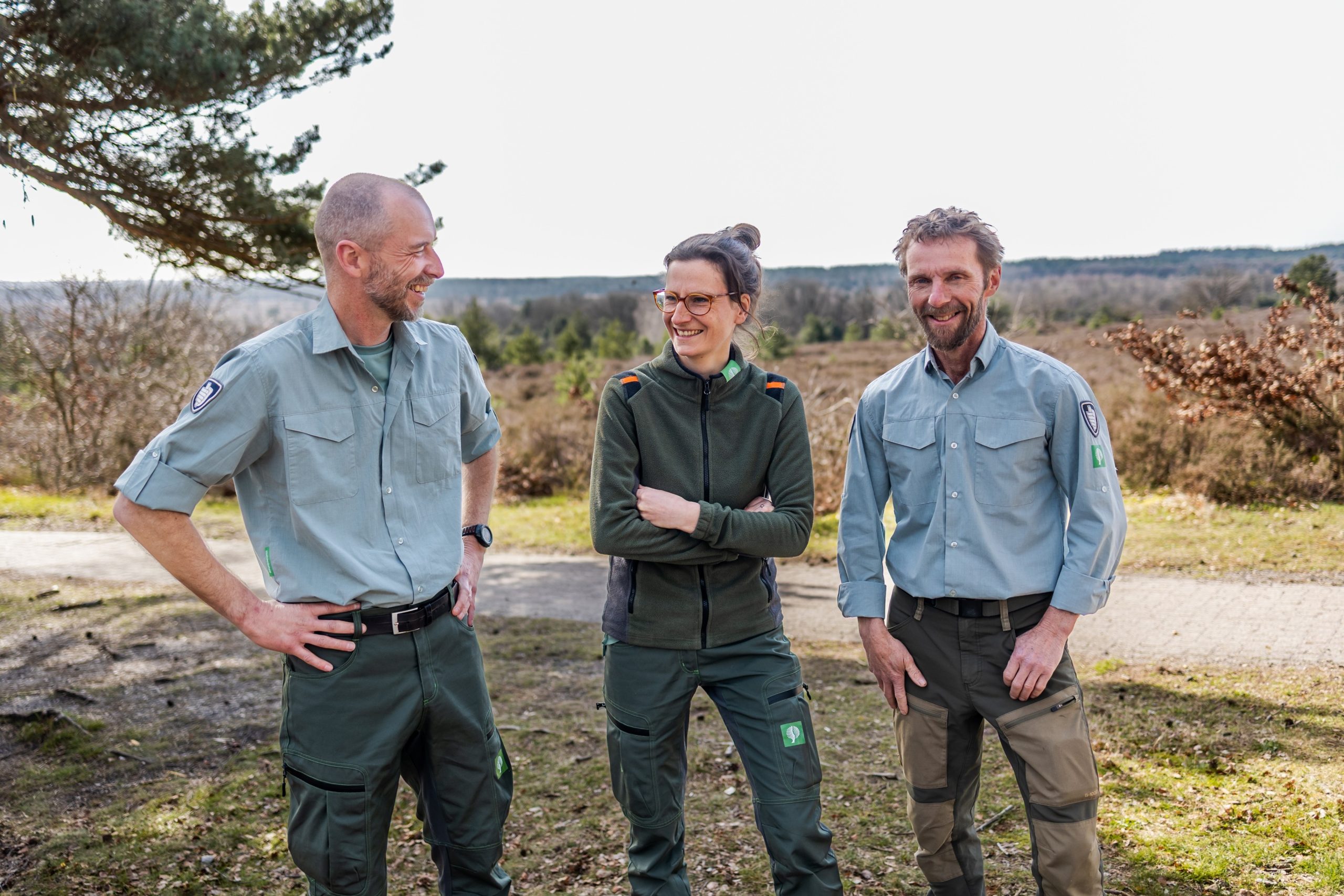 Staatsbosbeheer aan het werk op de Holterberg